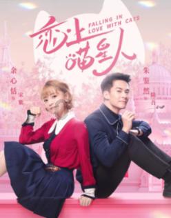 春雨直播app